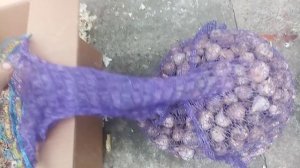 Семенной чеснок первой репродукции. Что это такое?!