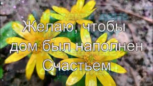 Открытка С днём рождения!