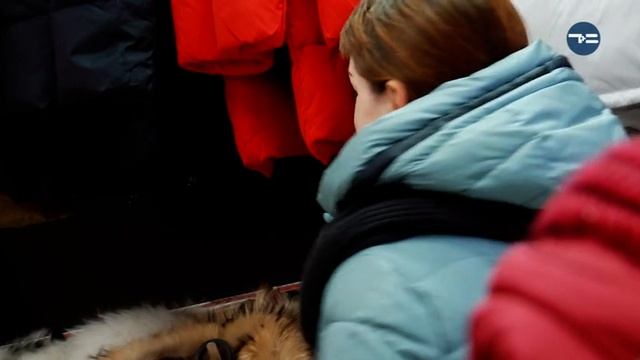 Премьера - «O'HARA»! смотреть онлайн