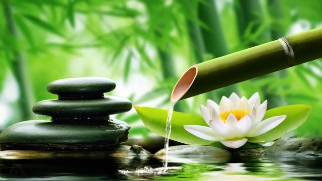 Música Relajante De Piano Con Sonido Del Agua, Espacio Tranquilo Para La Meditación, Spa, Relajació
