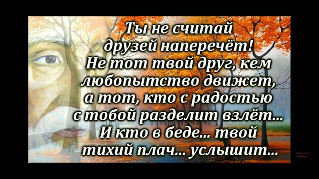 МЫ ИМЕЕМ ПРАВО ГОВОРИТЬ! КОСМОКОТ! смотреть онлайн