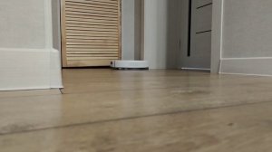 Робот пылесос в работе.