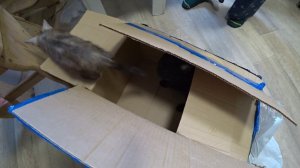 Будни деревенской семьи. Куда хочет, туда и тратит их. Обзор покупок.