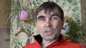 Как правильно разделывать чагу и заваривать.