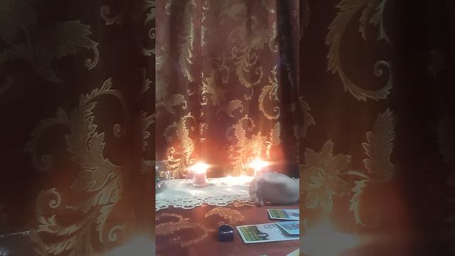 Что происходит у бывшего? смотреть онлайн