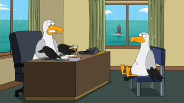 Чайки в офисе))) Один отчитывает другого)) смотреть онлайн