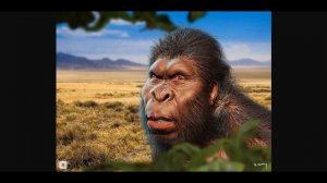 Деметре, Алекпер и Яйцеголовый ... .