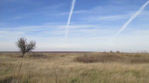 Опустевшая деревня Новогривки, Калининский район.