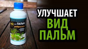 Удобрение МЕРА для ПАЛЬМ 0,25л с фульвокислотами