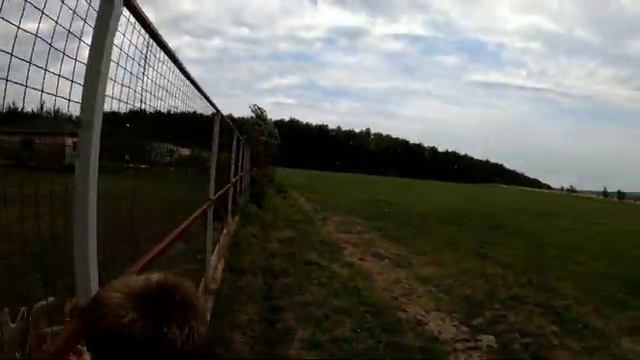 ЗООФЕРМА. смотреть онлайн