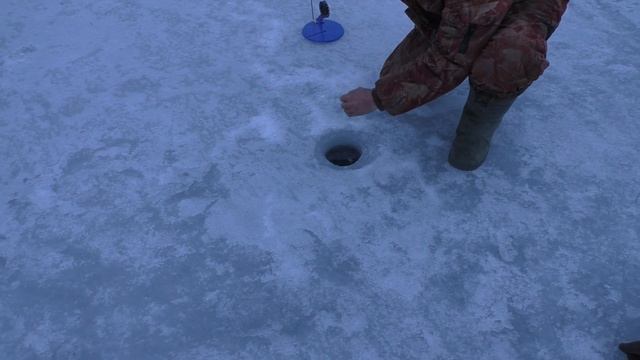 На воже за судаком смотреть онлайн