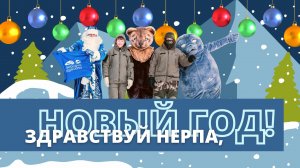 Здравствуй нерпа, Новый год!