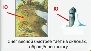 Детский учебный канал "По секрету всему свету" представляет "Горизонт и стороны горизонта"
