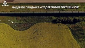 О компании "ФосАгро"