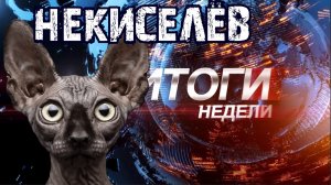 Итоги недели с Котом Костяном от 16.05.21