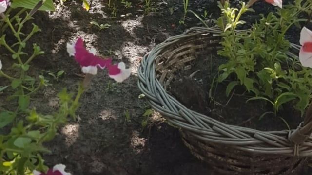 Начни утро с таких слов.