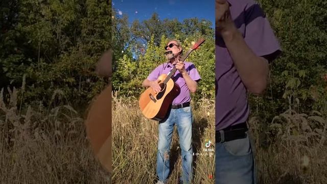 Танцы на траве. Гармошка и гитара