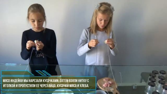 Учебный проект "Сосна. Польза от макушки до корней" смотреть онлайн