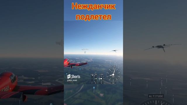 Внезапная встреча #shorts #microsoftflightsimulator