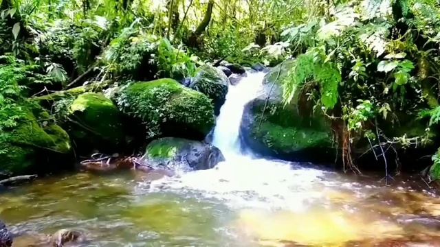 Медитация на отпускание прошлого, горя, печали, утраты. Подготовлена Екатериной Половниковой. смотреть онлайн