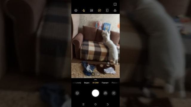 обзор дома