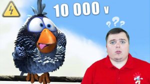 Почему ПТИЦ сидящих на проводах не убивает ТОКОМ?