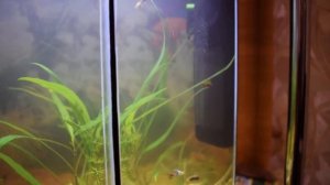 Фильтр Tetra in 800 plus