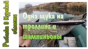 Троллинг в ноябре. Одна щука и много шампиньонов