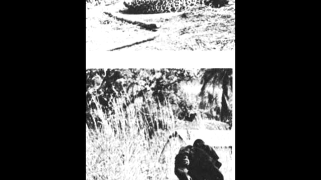 Откуда мем бунд б**** - обезьяна с дубинкой? смотреть онлайн