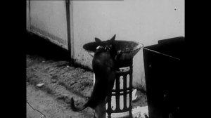 Гражданская Оборона - Вечная весна HD