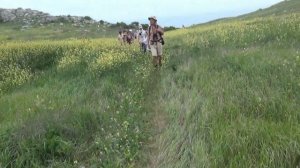 Туристические песни. Песни у костра.  А я не хочу 4 стены.