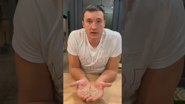 Семечки! Есть или не есть? смотреть онлайн