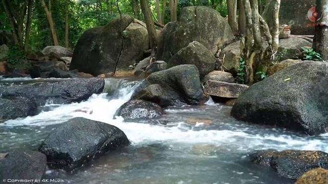 Rumba / Tango / Mambo/ Samba 2023 | Nonstop Latin Instrumental Music | Best Relaxing Spanish Guitar смотреть онлайн