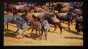 Конец ЭПОПЕИ с ПРОЕКТОРАМИ - Xiaomi mi 4k laser projector