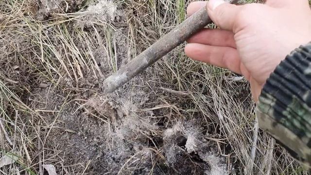 КУЧА ЛАТУННЫХ ТРУБ. Нашёл сброс цветного металла. смотреть онлайн