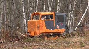Харвестер и Форвардер (harvester and forwarder