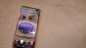 ГОВОРЯЩИЙ БЕН проводит над НАМИ ОПЫТЫ !