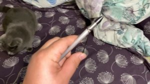 Самодельное ружье для подводной охоты, КОЕ ЧТО ПЕРЕДЕЛАЛА