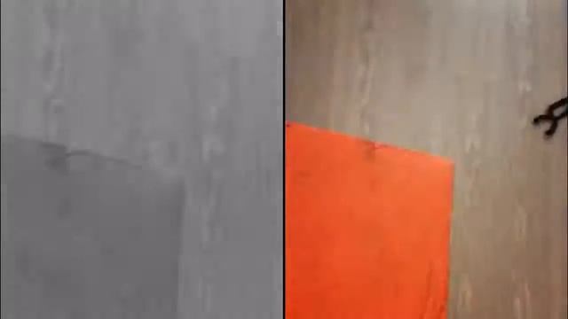 Летние сборы Neo Dance Family ● Stretching смотреть онлайн