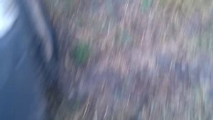 КПП на Renault Traffic (Рено Трафик)