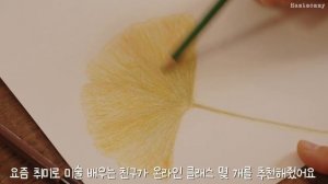 SUB) 가을, 스쳐가는 순간들의 기록ㅣ창경궁 단풍놀이ㅣ새로운 취미, 카페, 6가지 요리