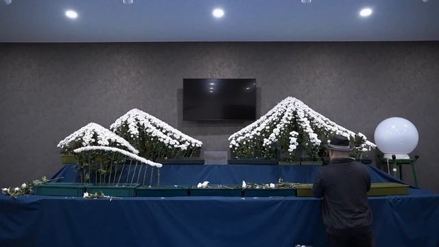 花で山作ります！日本発祥の花祭壇を世界に知ってもらいたい！文化 デザイン 作り方 #花#山#デザイン Floristry смотреть онлайн