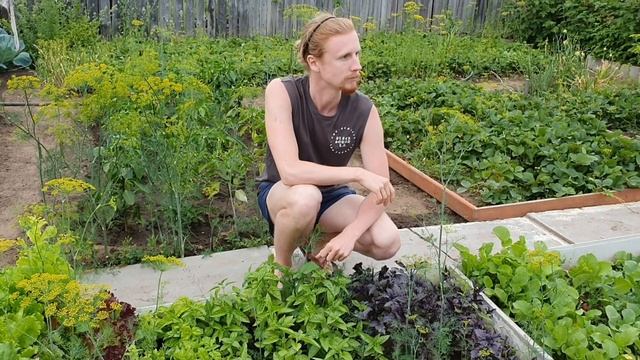 Деревенская жизнь | Отдых в деревне | Дачник | Приколы