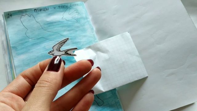 Бумажные сюрпризы/ПТИЦЫ И ФАКТЫ О НИХ смотреть онлайн