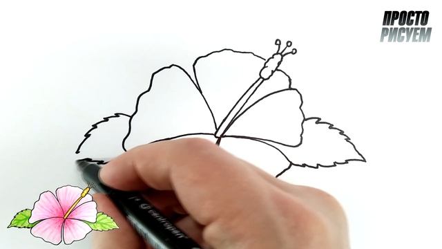 Как нарисовать цветок ГИБИСКУС шаг за шагом смотреть онлайн