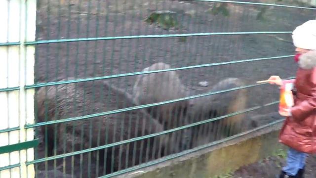 Беловежская пуща смотреть онлайн