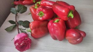 166. Самый лучший сорт перца для лечо! Стенки толстые!