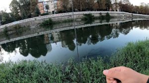 Можно ли поймать крупного голавля в черте города? Yamaga Blanks BlueCurrent III 69