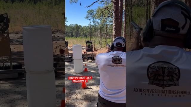 My first shots with the New 6" COLT PYTHON .357 MAGNUM  I’ll do better next time ? #gunsandboxing