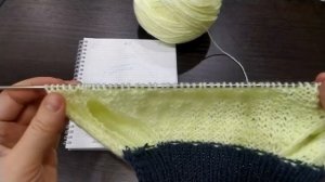 Вязаный комбинезон для кошки или маленькой собачки.